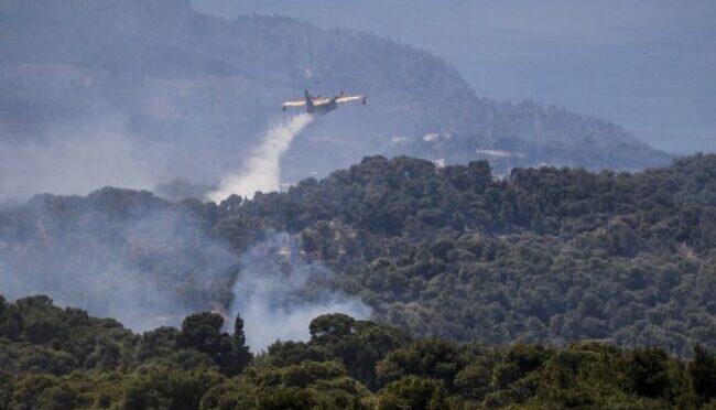 اليونان : عناصر الإطفاء يواصلون جهودهم لإخماد حرائق تسببت بـ كارثة بيئية
