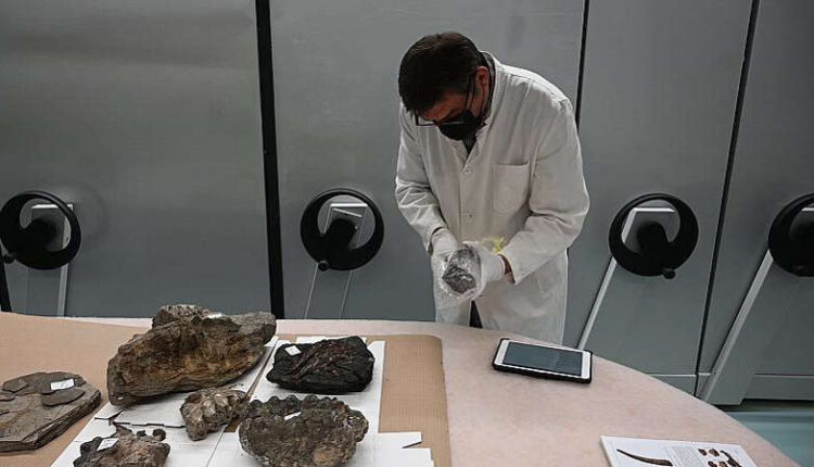 الشرطة الآوكرانيا تعثر على حفريات عمرها 15 مليون سنة على حدود كرواتيا والبوسنة