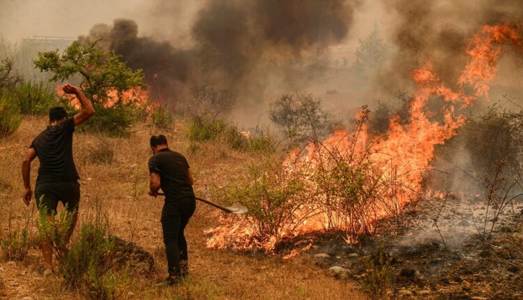 تركيا ترفض عرض إسرائيل المساعدة في مكافحة حرائق الغابات