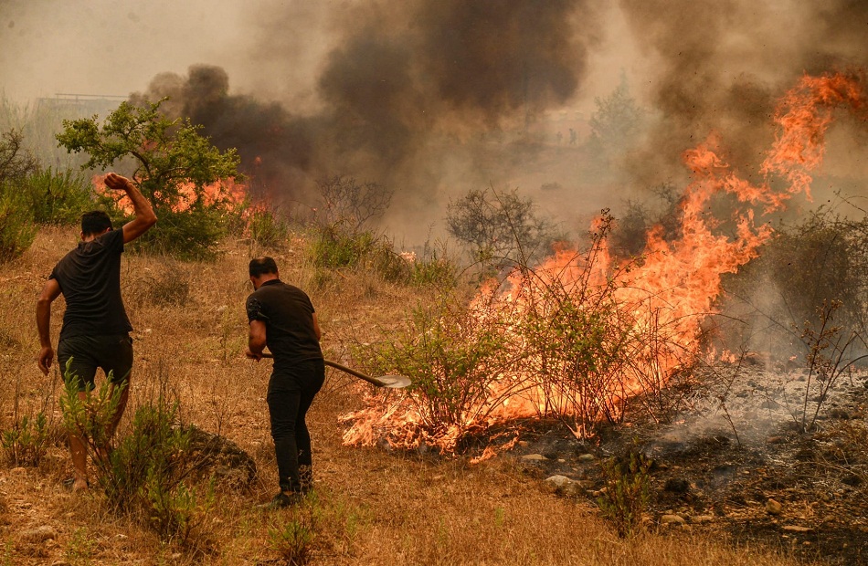 تركيا ترفض عرض إسرائيل المساعدة في مكافحة حرائق الغابات