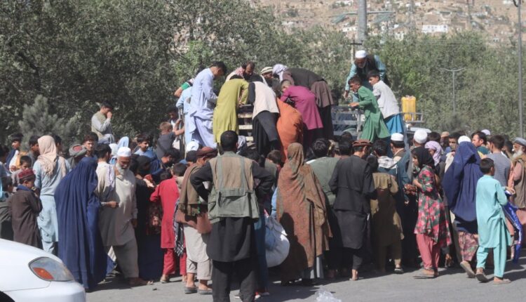 الرئيس النمساوى يدعو إلى سرعة قبول اللاجئين من أفغانستان فى أوروبا