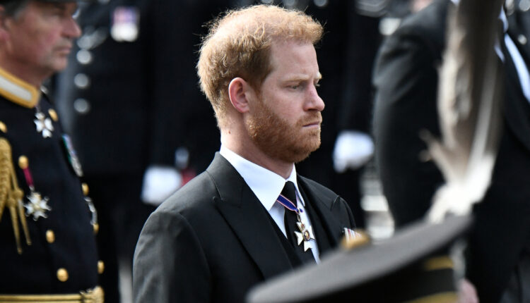 الأمير هاري