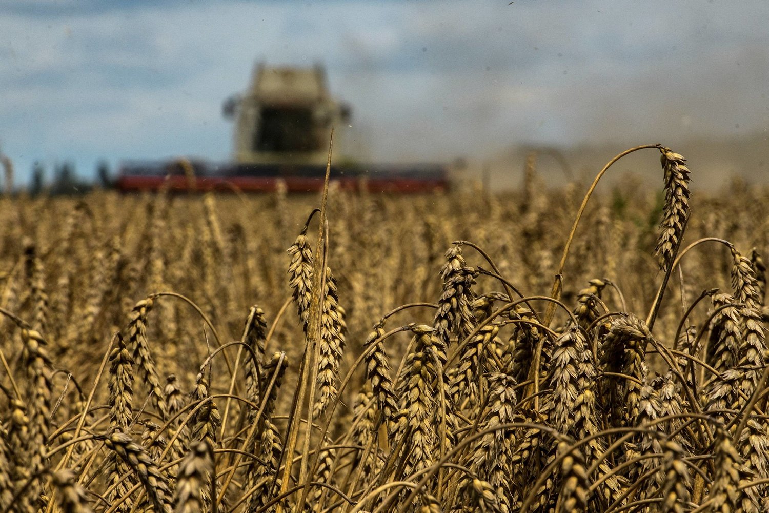 واشنطن تبحث عن بدائل لتصدير الحبوب الاوكرانية 