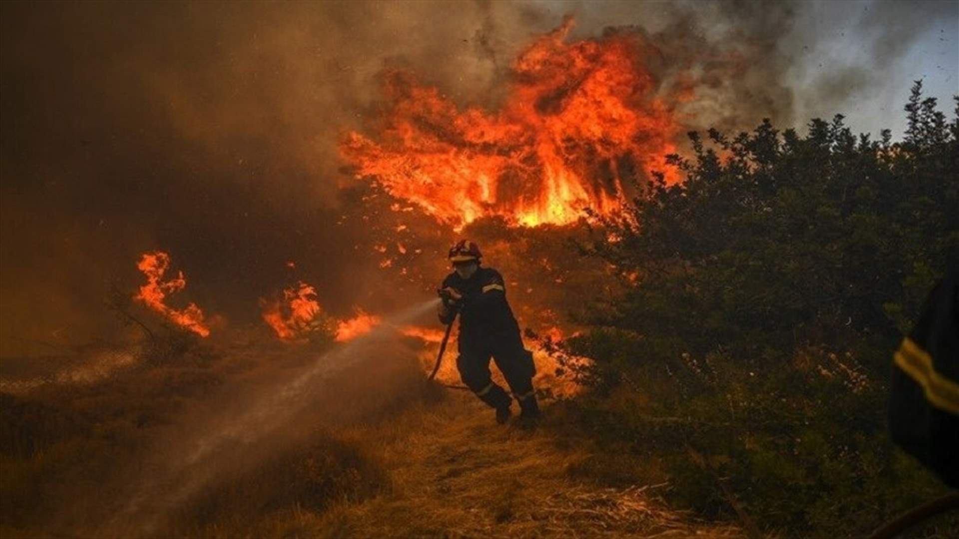 اليونان .. أكبر عملية إجلاء تشهدها البلاد بسبب الحرائق في جزيرة رودس