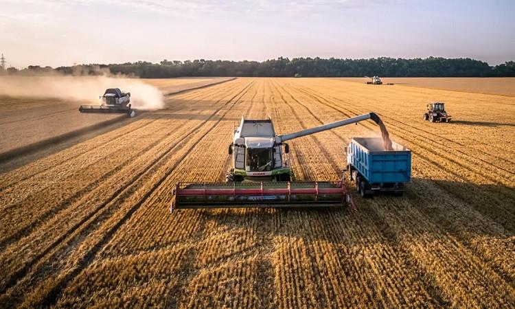 الاتحاد الأوروبي يدعو مجموعة العشرين للضغط على روسيا لإبرام اتفاق جديد بشأن الحبوب 