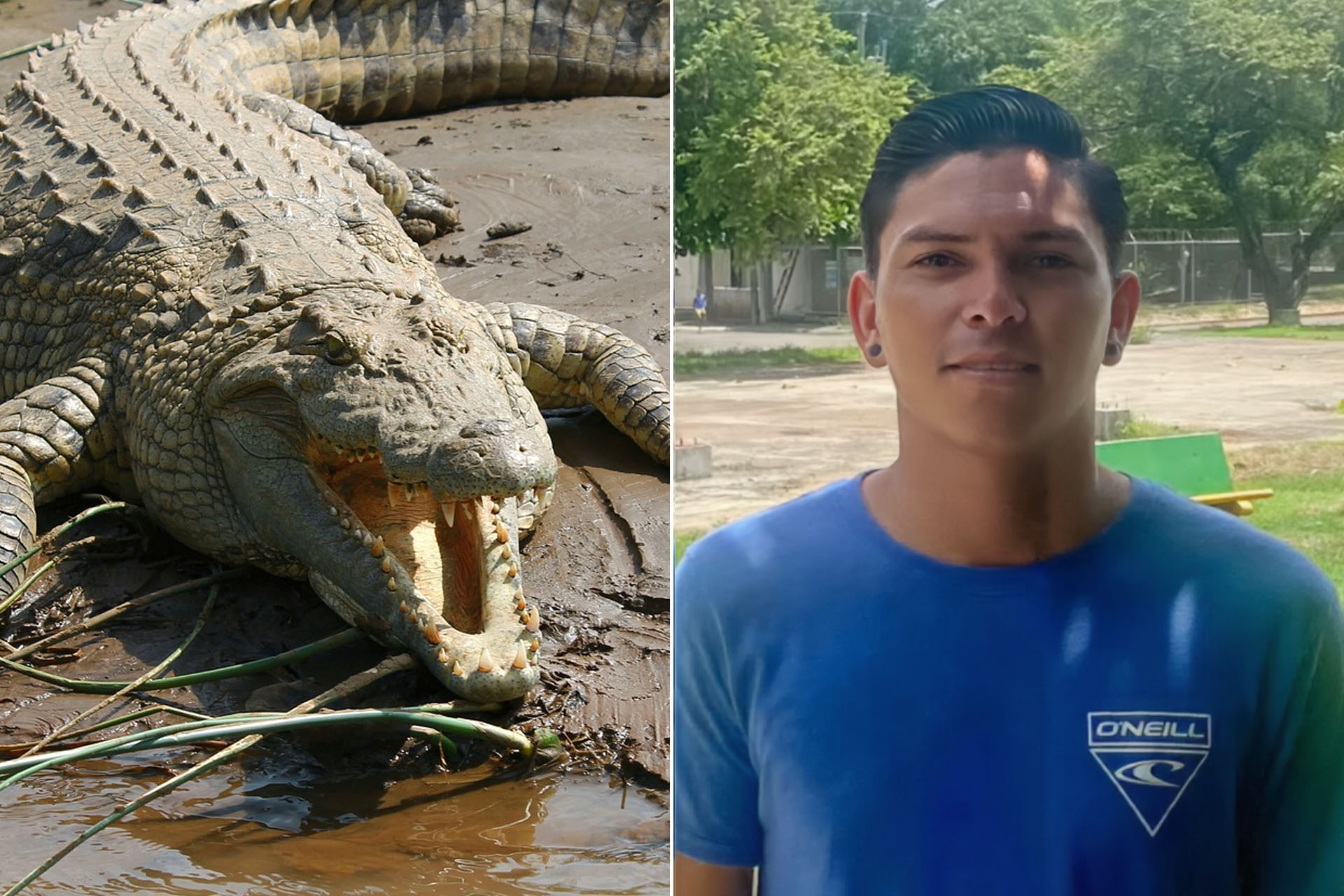 لقطات مروعة لتمساح يقتل لاعب كرة قدم في كوستاريكا