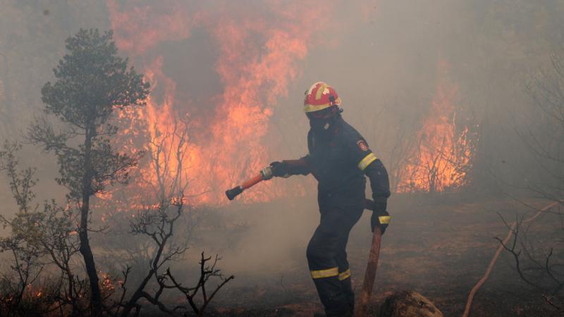 العثور على 18 جثة التهمتها النيران لمهاجرين في غابات اليونان