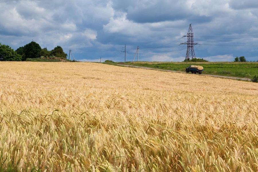 الاتحاد الأوروبي يدعو مجموعة العشرين للضغط على روسيا لإبرام اتفاق جديد بشأن الحبوب