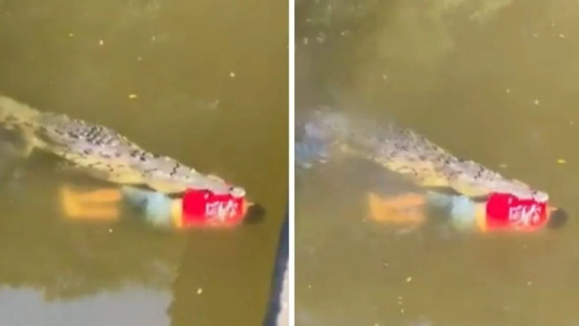 لقطات مروعة لتمساح يقتل لاعب كرة قدم في كوستاريكا 