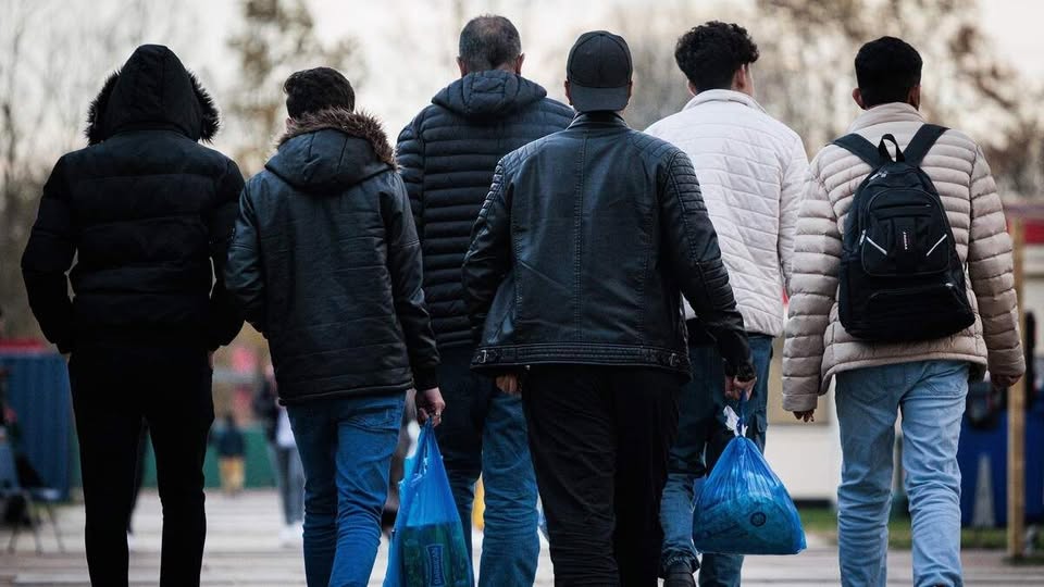 هولندا تدفع ثمن التأخير: 79 مليون يورو تعويضًا لطالبي اللجوء